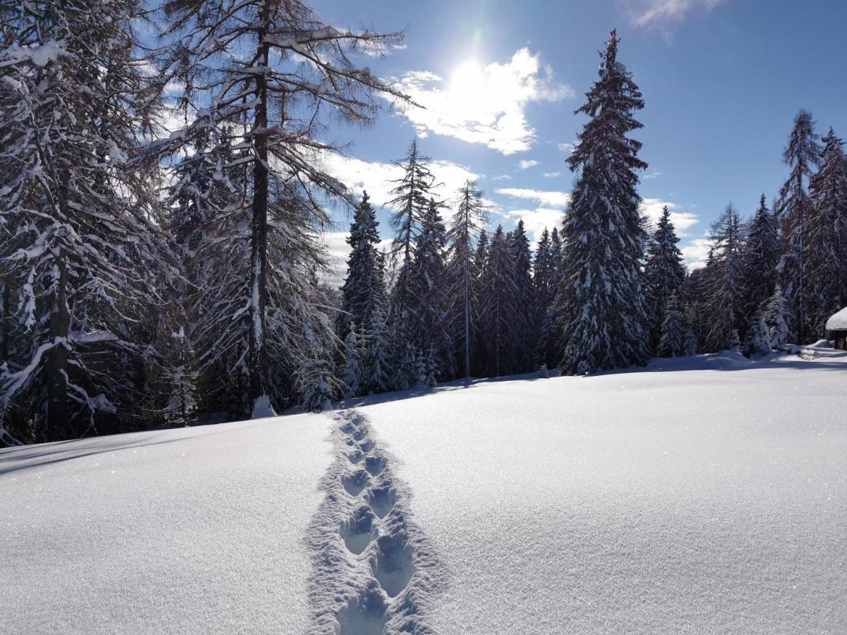 Ferienhaeuser Troester Bad Kleinkirchheim Luaran gambar