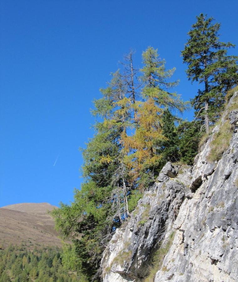 Ferienhaeuser Troester Bad Kleinkirchheim Luaran gambar