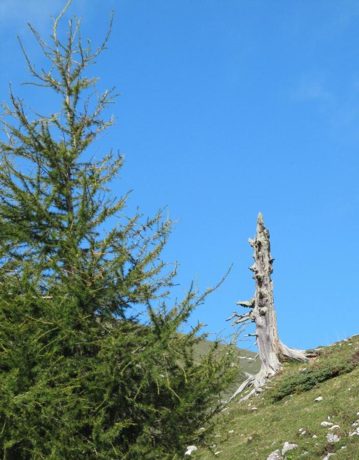 Ferienhaeuser Troester Bad Kleinkirchheim Luaran gambar