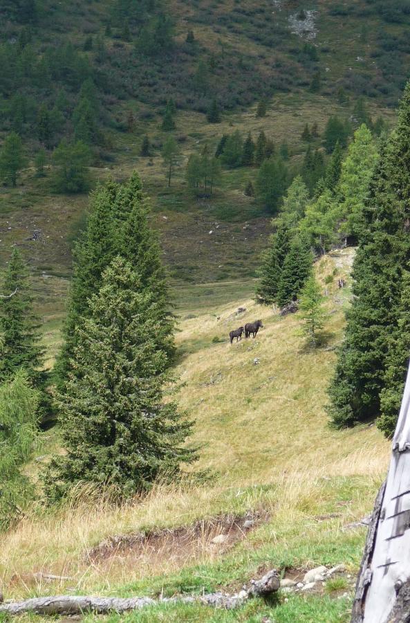Ferienhaeuser Troester Bad Kleinkirchheim Luaran gambar
