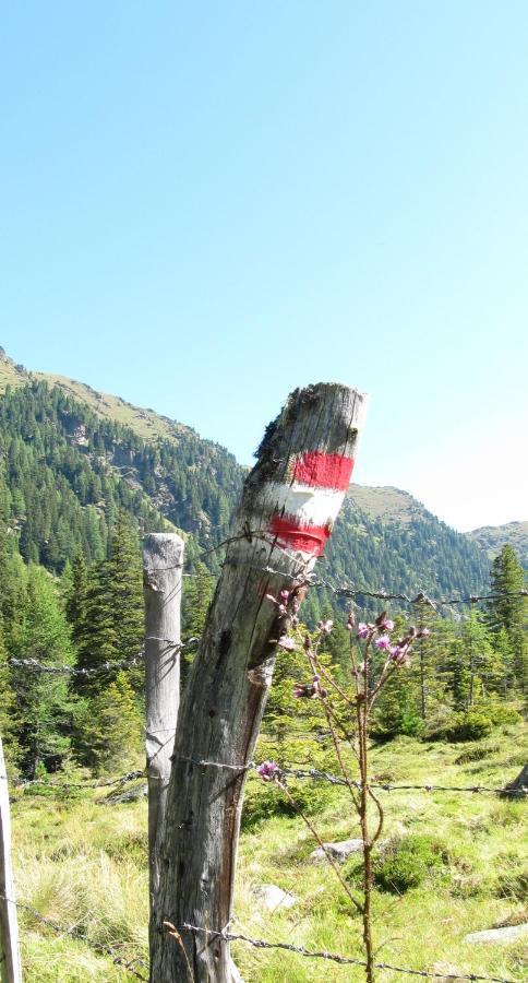 Ferienhaeuser Troester Bad Kleinkirchheim Luaran gambar