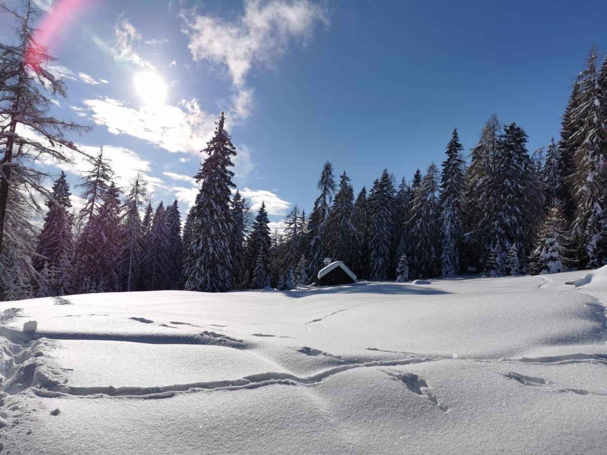 Ferienhaeuser Troester Bad Kleinkirchheim Luaran gambar