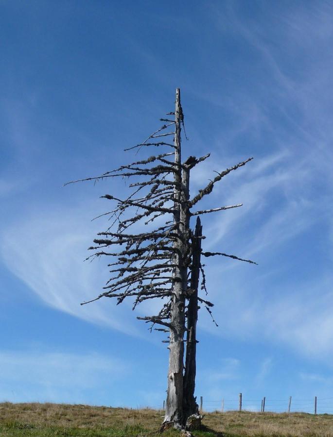 Ferienhaeuser Troester Bad Kleinkirchheim Luaran gambar